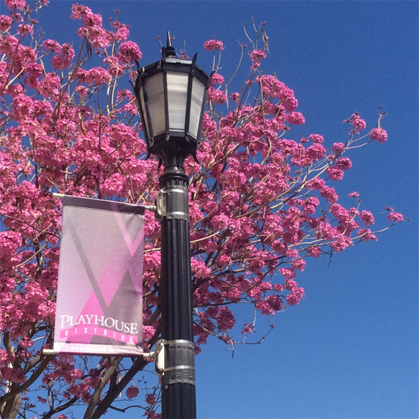 Streetscapes » Playhouse Village Association