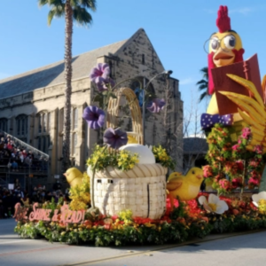 Floral-decorated Rose Parade float featuring a giant chicken reading a book, passes in front of the First United Methodist Church.