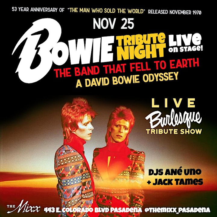 David Bowie Tribute Show