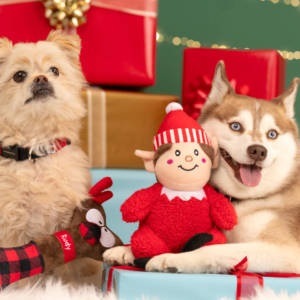 Two dogs pose with their new holiday toys in front of stacks of gift boxes in the background. The toys are from Healthy Spot