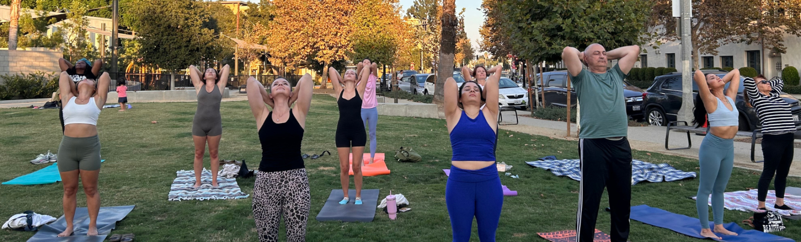 Wellness in the Park
