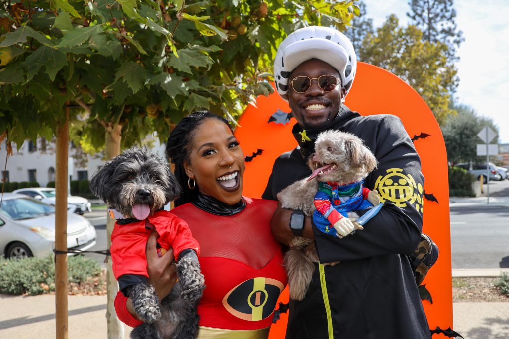 Dogs and their owners celebrate Halloween dressed in super hero costumes at Playhouse Village Park.