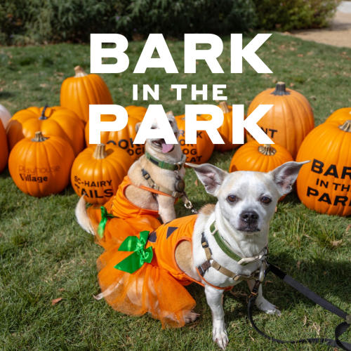 Bark in the Park