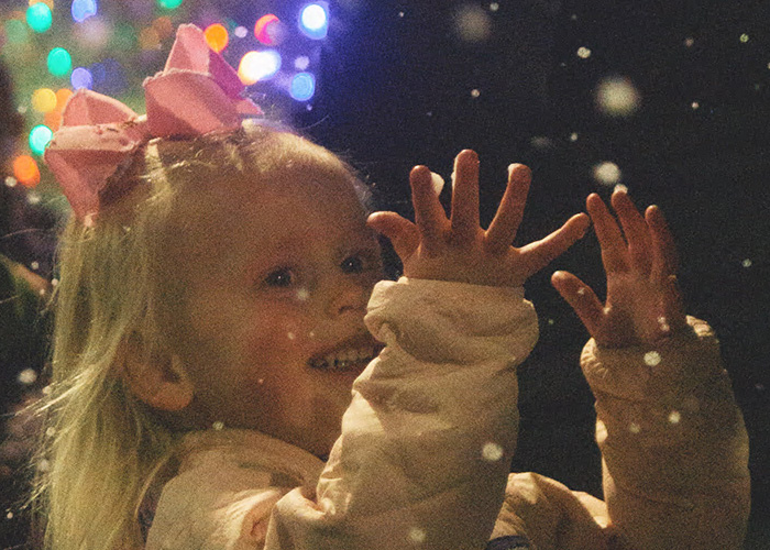 Holiday Tree Lighting Celebration