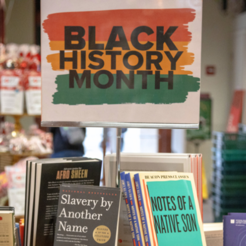 Black History Month Playhouse Village