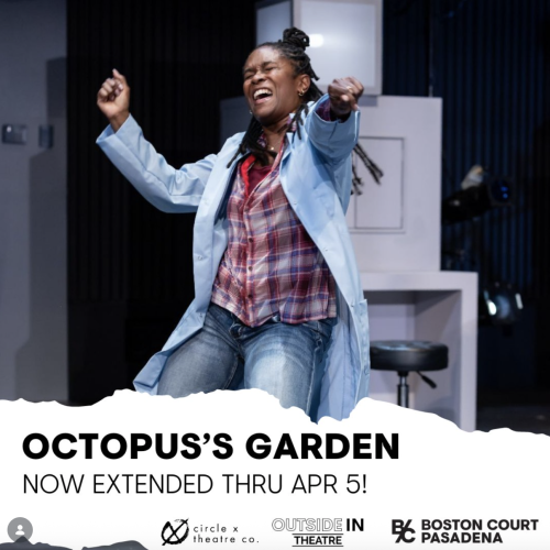 Octopus's Garden
