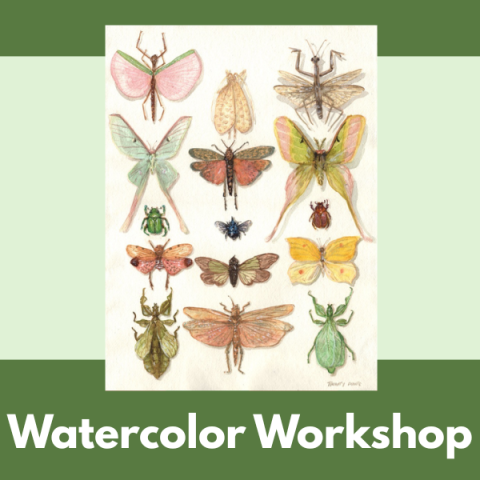 Watercolor Workshop