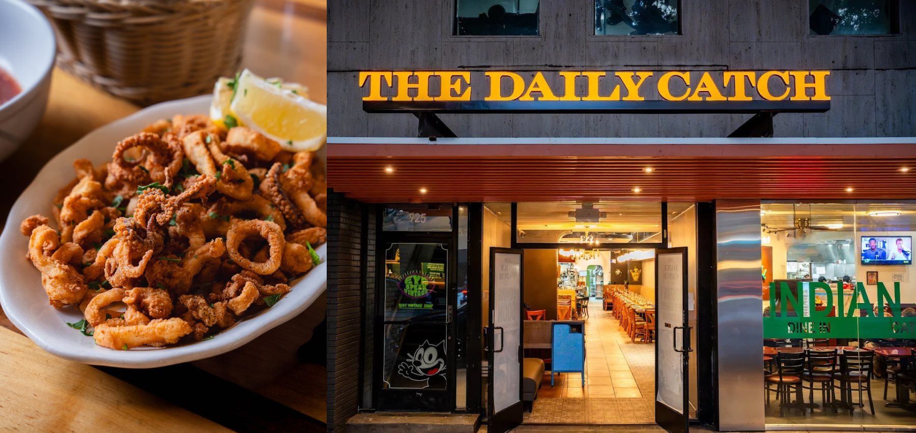 The Daily Catch