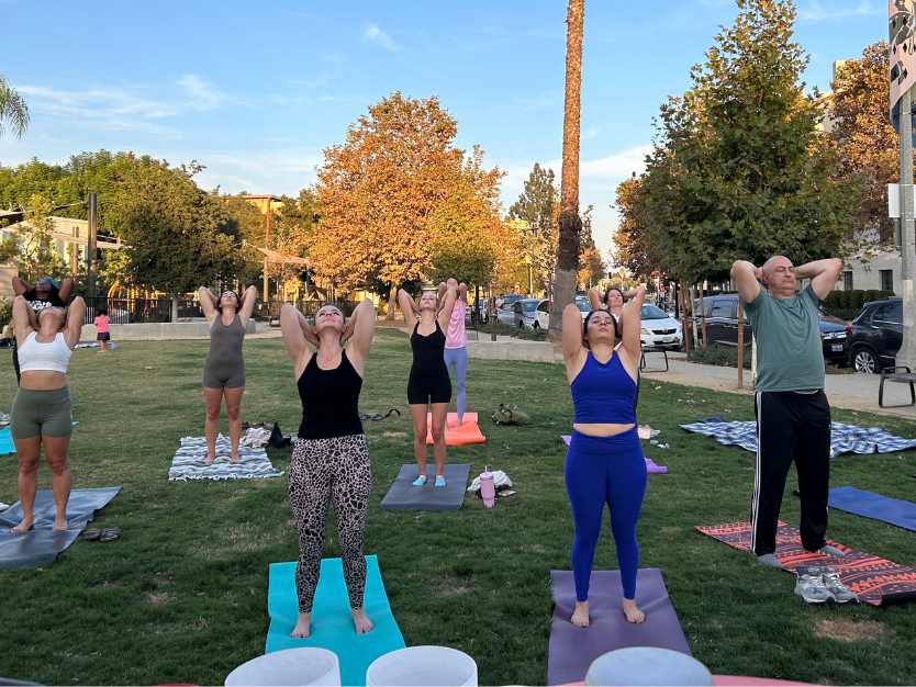 Wellness in the Park Lower Third