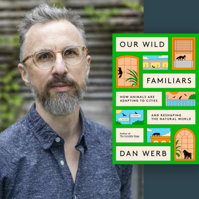 Dan Werb