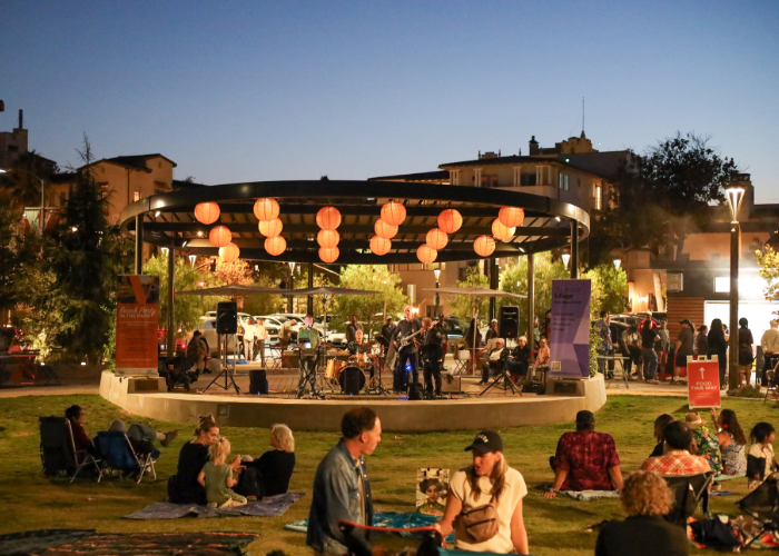 Party in the Park